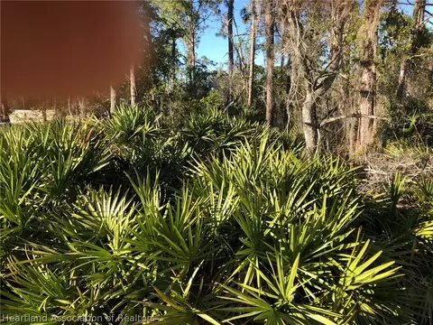 594 Max Ave, Sebring, FL 33875 photo 5