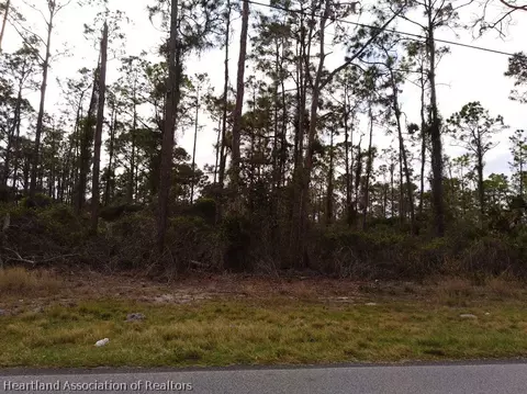 1955 Brunns Rd, Sebring, FL 33872 photo 5