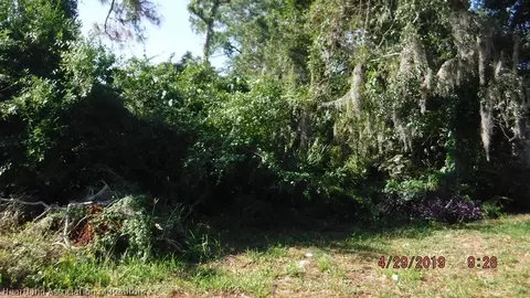 202 Thrush Ave, Sebring, FL 33870 photo 2