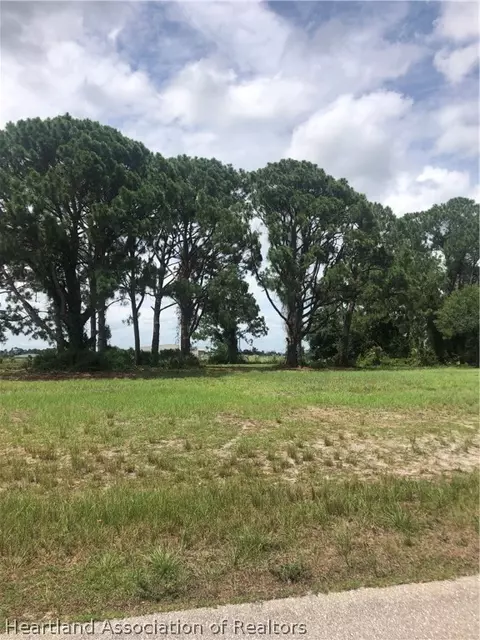 8725 Castile Rd, Sebring, FL 33876 photo 2