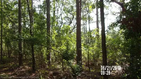 6814 E Banyan Pl, Sebring, FL 33875 photo 2