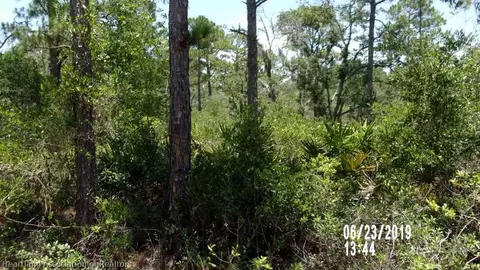 6717 Willow Pl, Sebring, FL 33875 photo 2