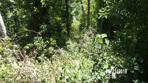 801 Neal Dr, Sebring, FL 33875 photo 3