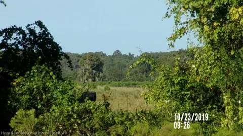 704 Lin Rd, Sebring, FL 33876 photo 7