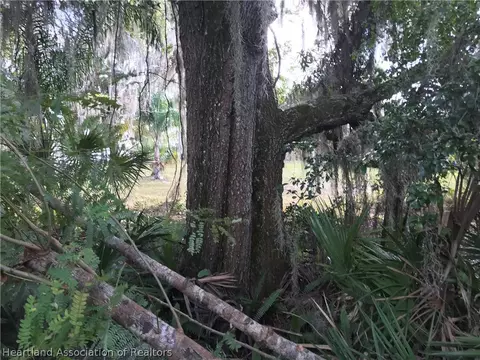 716 Memorial Dr, Sebring, FL 33870 photo 11