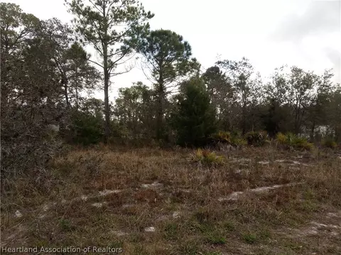 2900 Hammock Ter, Sebring, FL 33872 photo 3