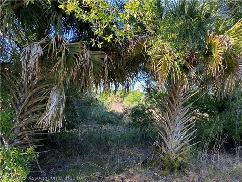 17389 NW 254th St, Okeechobee, FL 34972 photo 3