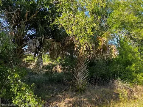 17389 NW 254th St, Okeechobee, FL 34972 photo 2