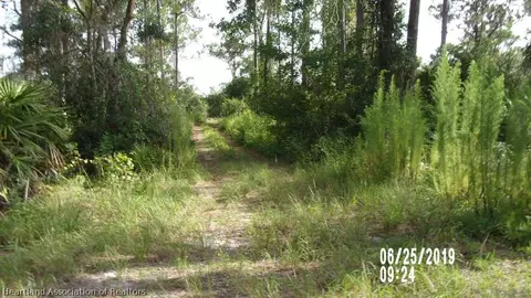 10134 Roundtree Dr, Sebring, FL 33875 photo 4