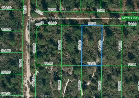 1837 Nectar Ave, Sebring, FL 33875 photo 5