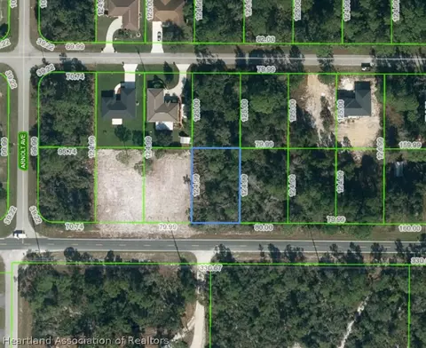 4316 Thunderbird Rd, Sebring, FL 33872 photo 1
