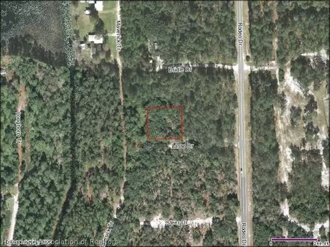 106 Lasso Dr, Interlachen, FL 32148 photo 2