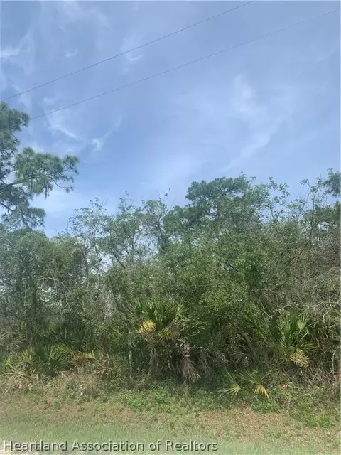 595 Max Ave, Sebring, FL 33875 photo 34