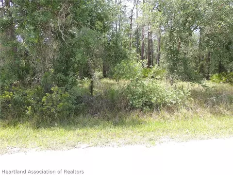 595 Max Ave, Sebring, FL 33875 photo 32