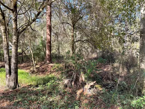 6313 Lakeside Dr W, Sebring, FL 33875 photo 2