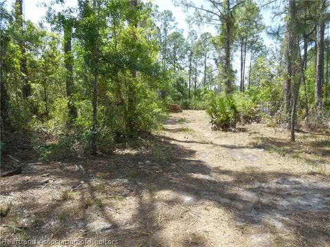 2317 Upson Ave, Lorida, FL 33857 photo 7