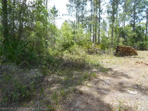 2317 Upson Ave, Lorida, FL 33857 photo 12