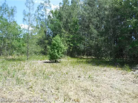 2317 Upson Ave, Lorida, FL 33857 photo 3