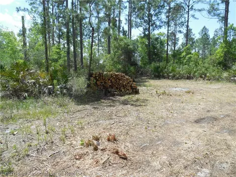 2317 Upson Ave, Lorida, FL 33857 photo 13