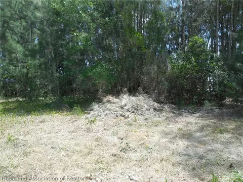 2317 Upson Ave, Lorida, FL 33857 photo 4