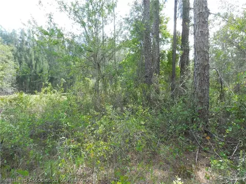 2317 Upson Ave, Lorida, FL 33857 photo 15