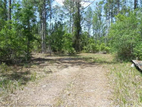 2317 Upson Ave, Lorida, FL 33857 photo 6