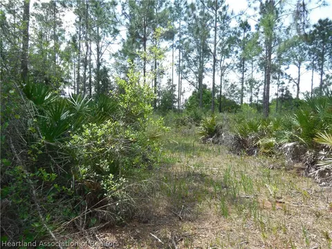 2317 Upson Ave, Lorida, FL 33857 photo 16