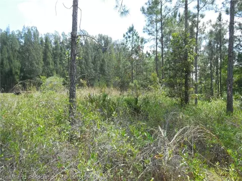 2317 Upson Ave, Lorida, FL 33857 photo 31