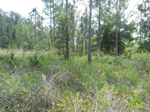 2317 Upson Ave, Lorida, FL 33857 photo 17