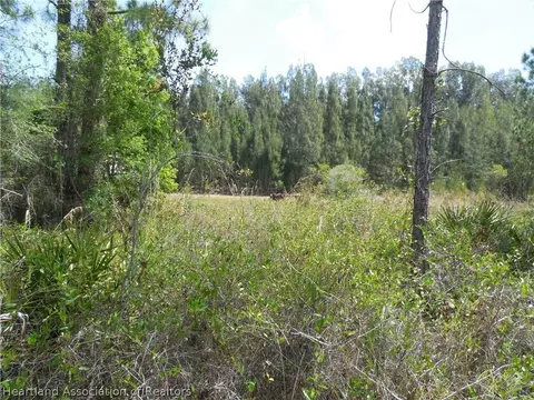 2317 Upson Ave, Lorida, FL 33857 photo 18