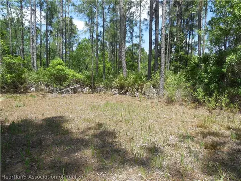 2317 Upson Ave, Lorida, FL 33857 photo 9