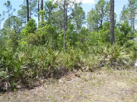 2317 Upson Ave, Lorida, FL 33857 photo 20
