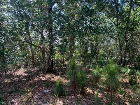 6509 E Banyan Pl, Sebring, FL 33875 photo 3