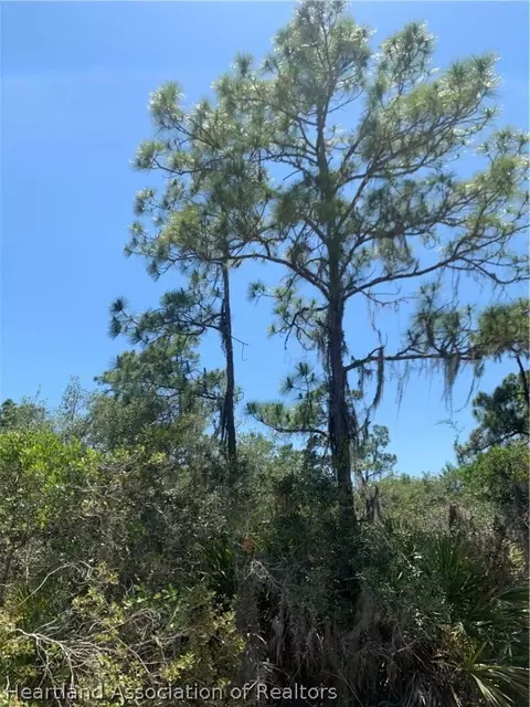 2021 Andros St, Sebring, FL 33875 photo 1