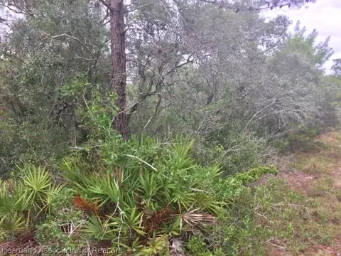 6917 Shasta Daisy Blvd, Sebring, FL 33875 photo 6