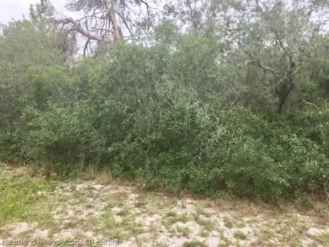 6917 Shasta Daisy Blvd, Sebring, FL 33875 photo 7