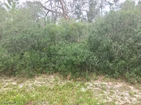 6917 Shasta Daisy Blvd, Sebring, FL 33875 photo 3
