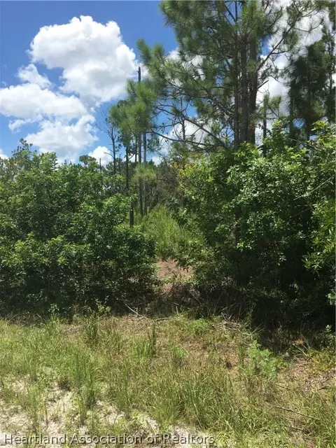 117 Polk St, Lake Placid, FL 33852