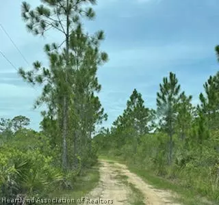 1908 Bliss Ter, Sebring, FL 33875 photo 2