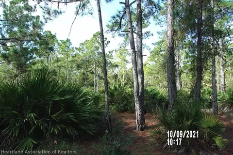 6513 Apricot Pl, Sebring, FL 33875 photo 6