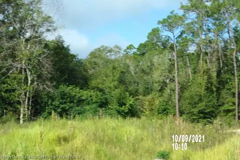 7022 Aster Pl, Sebring, FL 33875 photo 4