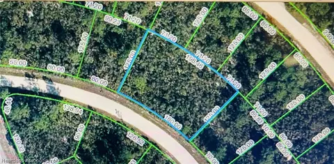 1171 Lake Hill Dr, Lake Placid, FL 33852