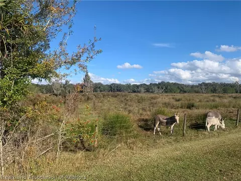 1500 Lakeshore Dr, Lorida, FL 33857 photo 4