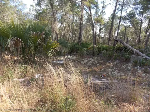 473 Hummingbird Ave, Sebring, FL 33872 photo 3