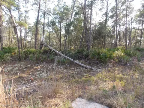 473 Hummingbird Ave, Sebring, FL 33872 photo 1