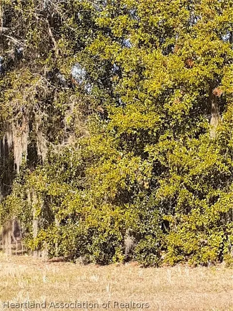 5961 Thunder Rd, Sebring, FL 33876 photo 3