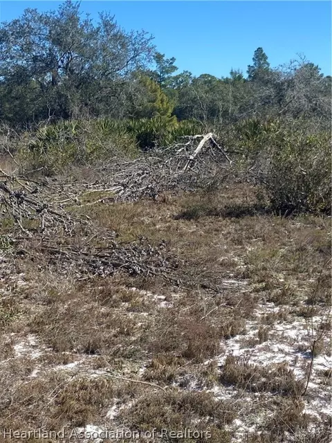 10998 Payne Rd, Sebring, FL 33875 photo 9