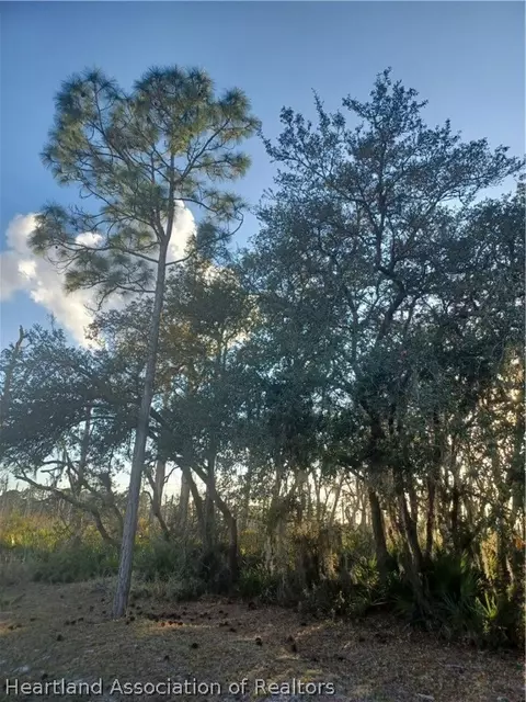 717 Thunderbird Hill Rd, Sebring, FL 33872 photo 1