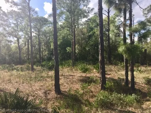 6517 Balsam Pl, Sebring, FL 33875 photo 13