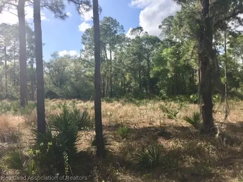 6517 Balsam Pl, Sebring, FL 33875 photo 12